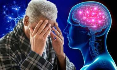 Commonly prescribed drugs may up dementia risk: Study