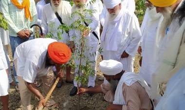 ਗੁਰਦੁਆਰਾ ਬਾਬਾ ਬੀਰ ਸਿੰਘ ਰੱਤੋਕੇ ਦੀ ਜ਼ਮੀਨ ਵਿੱਚ ਲਗਾਇਆ ਜੰਗਲ