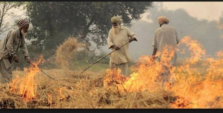 ਜੋ ਕਿਸਾਨ ਪਰਾਲੀ ਨੂੰ ਅੱਗ ਨਹੀਂ ਲਾਵੇਗਾ ਉਸ ਨੂੰ ਦਿੱਤੇ ਜਾਣਗੇ ਹਵਾਈ ਜਹਾਜ਼ ਦੇ ਝੂਟੇ