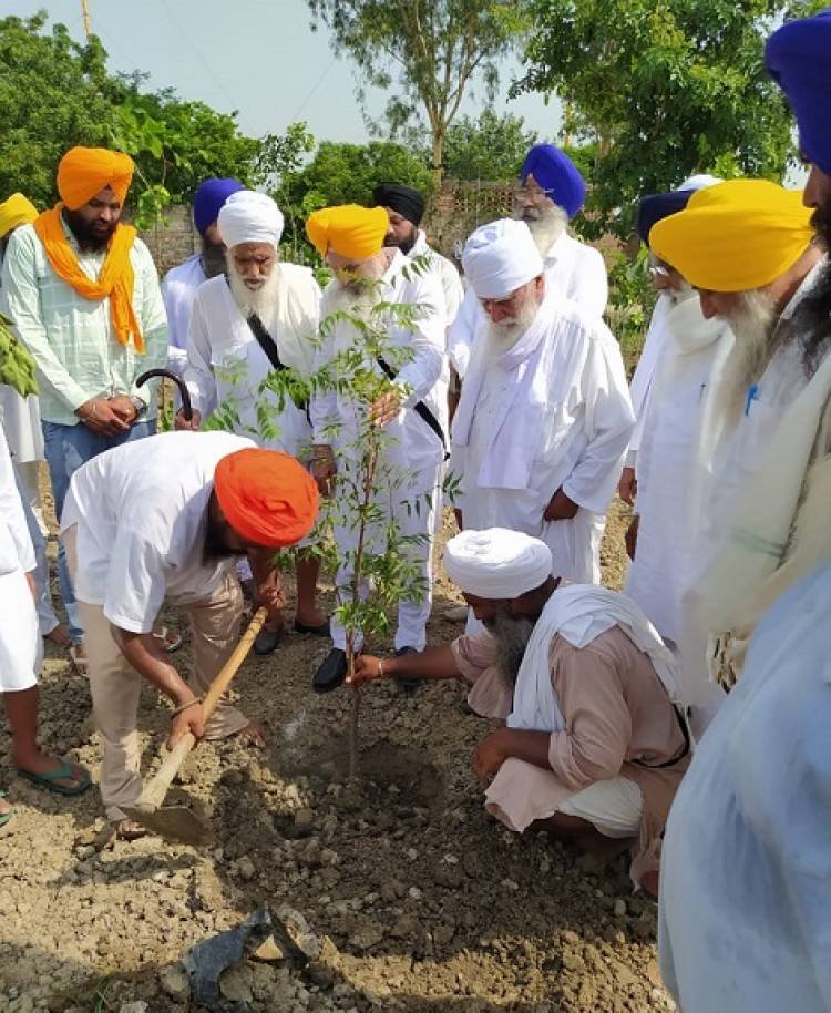 ਗੁਰਦੁਆਰਾ ਬਾਬਾ ਬੀਰ ਸਿੰਘ ਰੱਤੋਕੇ ਦੀ ਜ਼ਮੀਨ ਵਿੱਚ ਲਗਾਇਆ ਜੰਗਲ